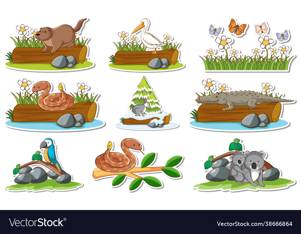 Sticker set with different wild animals Royalty Free Vector