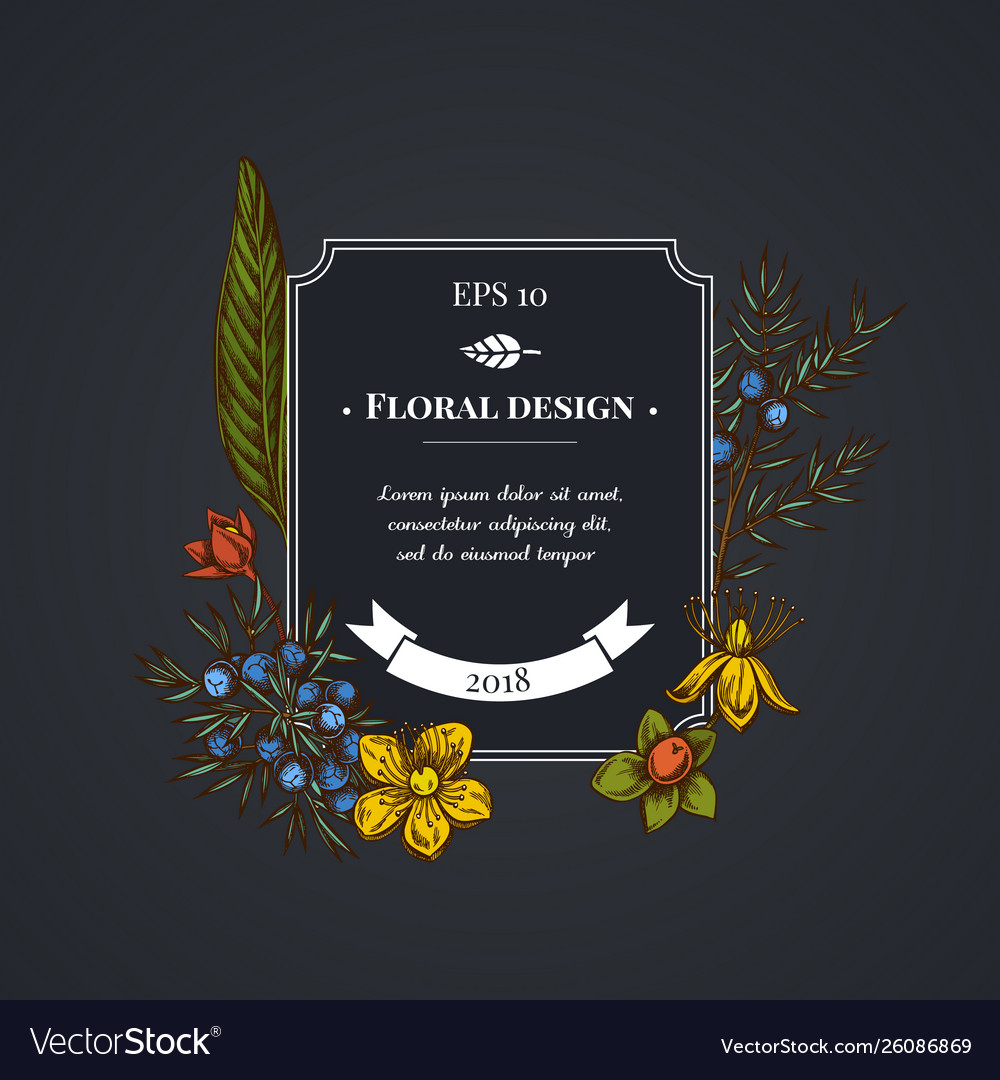 Dark badge design with juniper hypericum