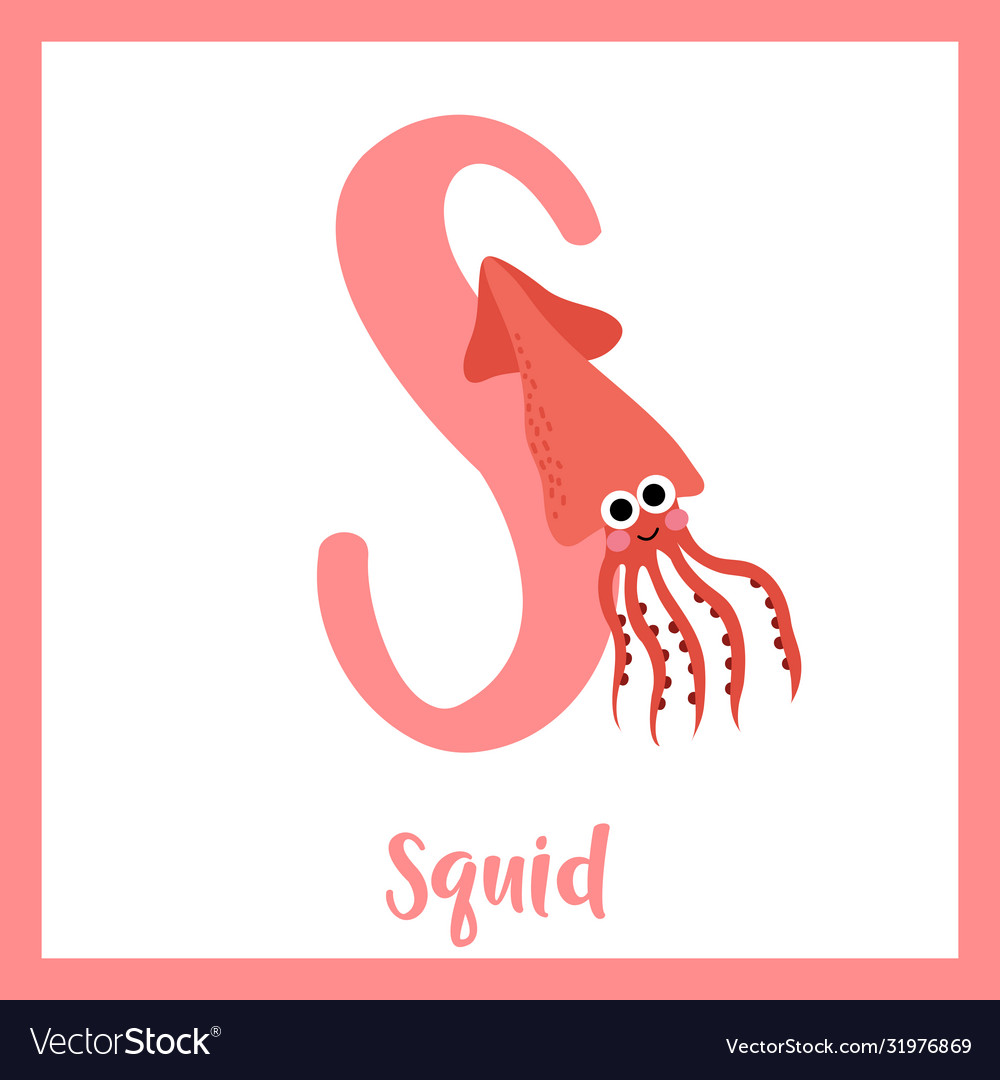 Letter s vocabulary squid vector image Letter s vocabulary squid
