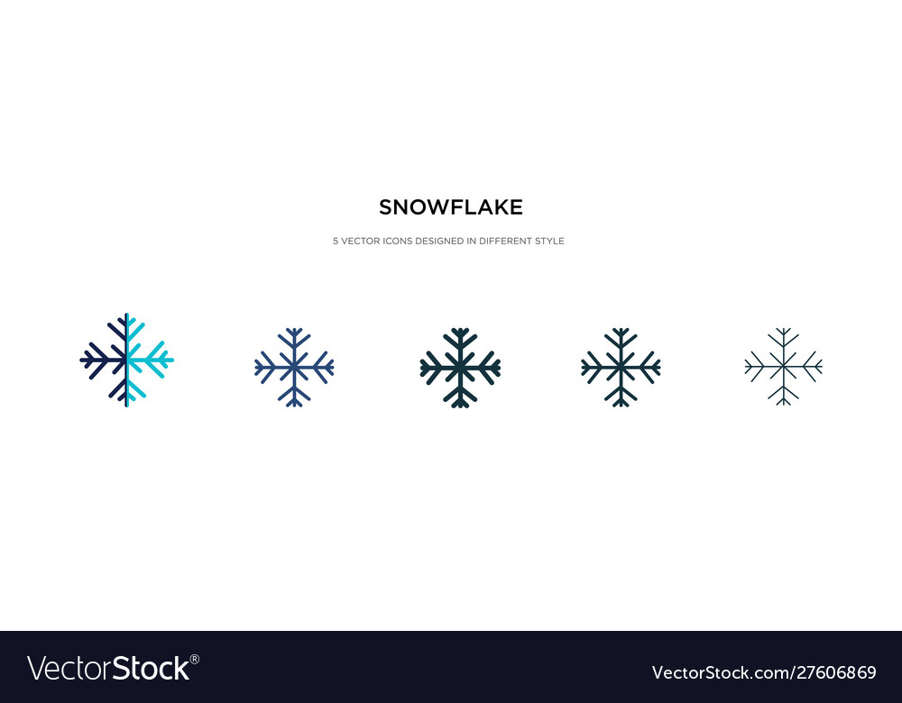 Snowflake icon in different style two colored