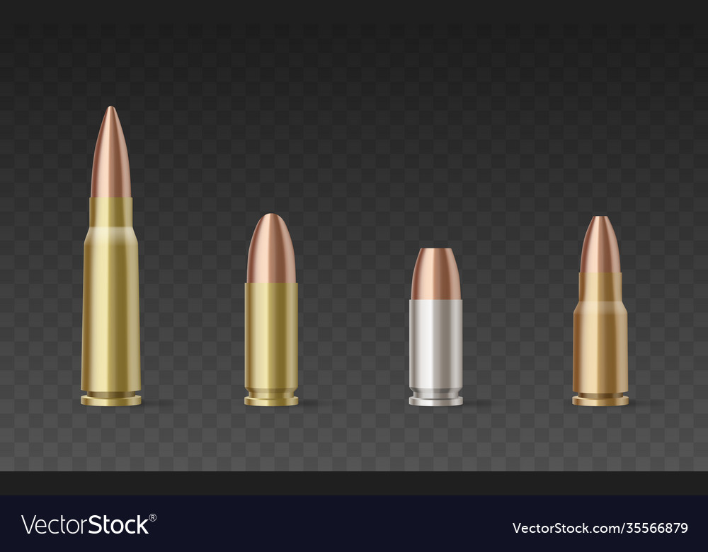 Bullets different calibers and materials vector image Bullets different calibers and materials
