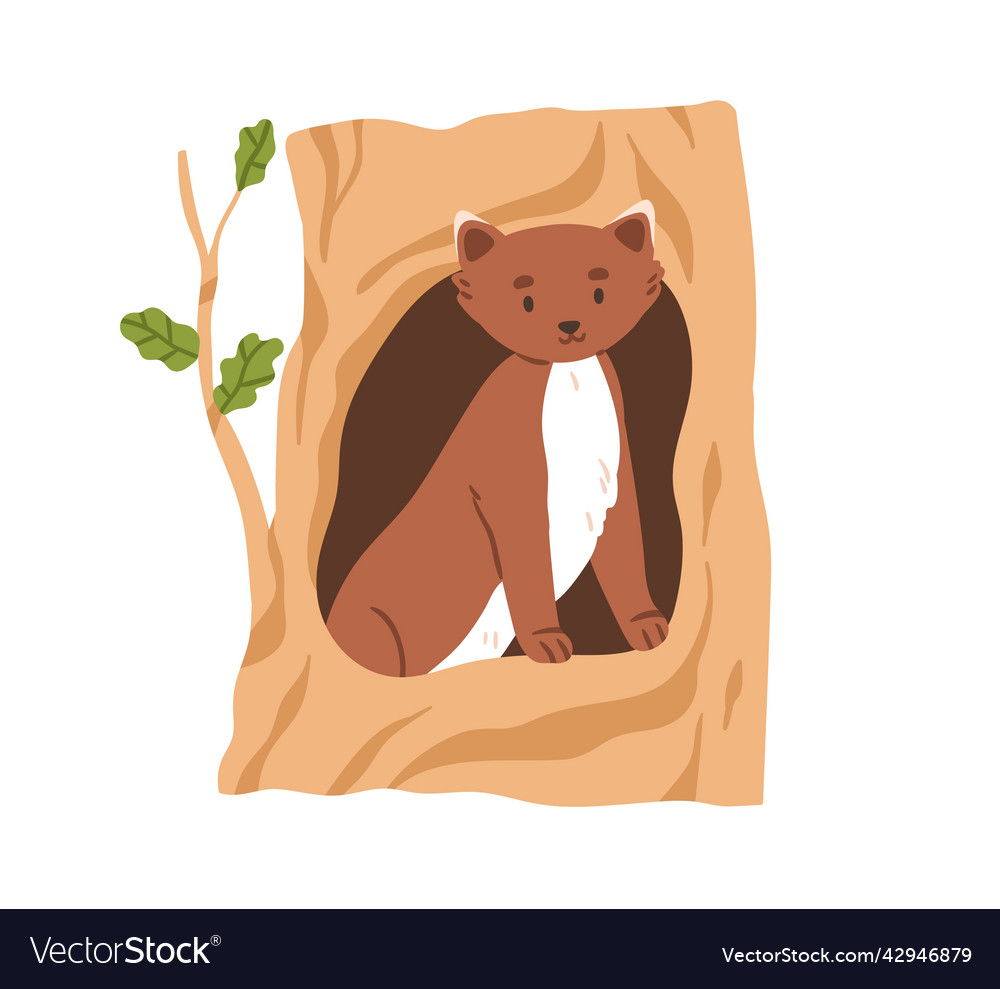 Cute marten inside hollow in tree forest animal