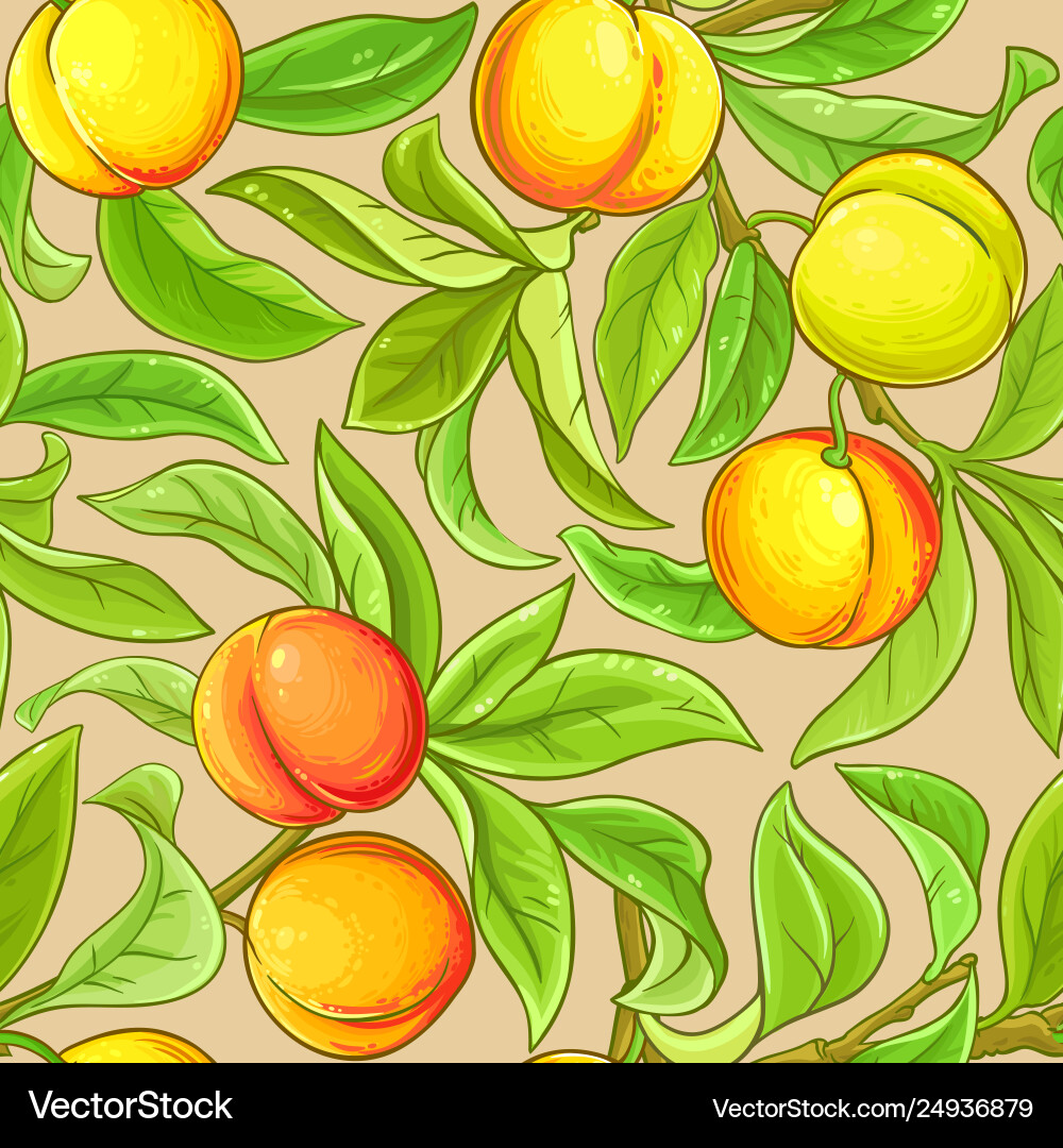 Peach branches pattern on color background Vector Image