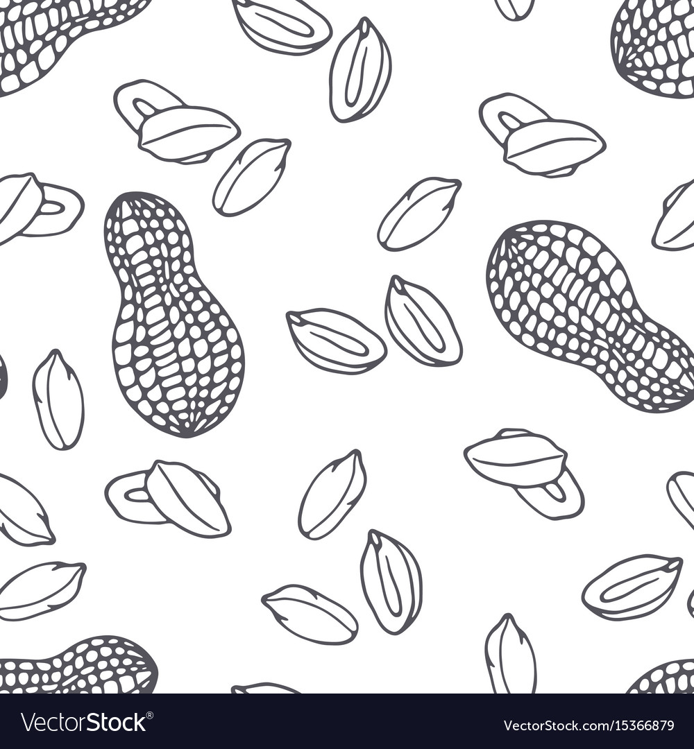 Peanut Outline Pattern
