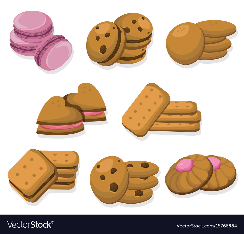 Delicious dessert chocolate cookies set collection