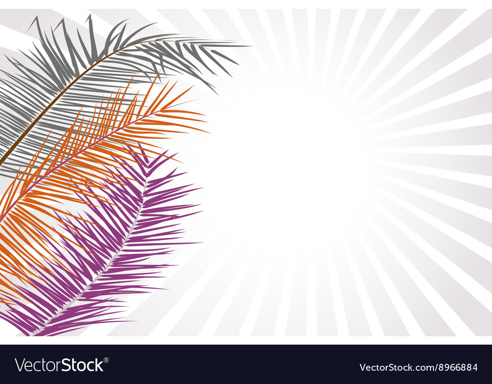 Palm leaf or coconut background