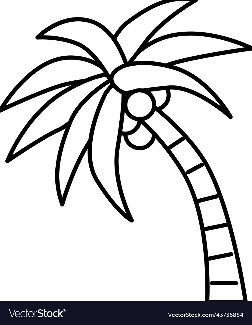 Palm tree coconut line icon