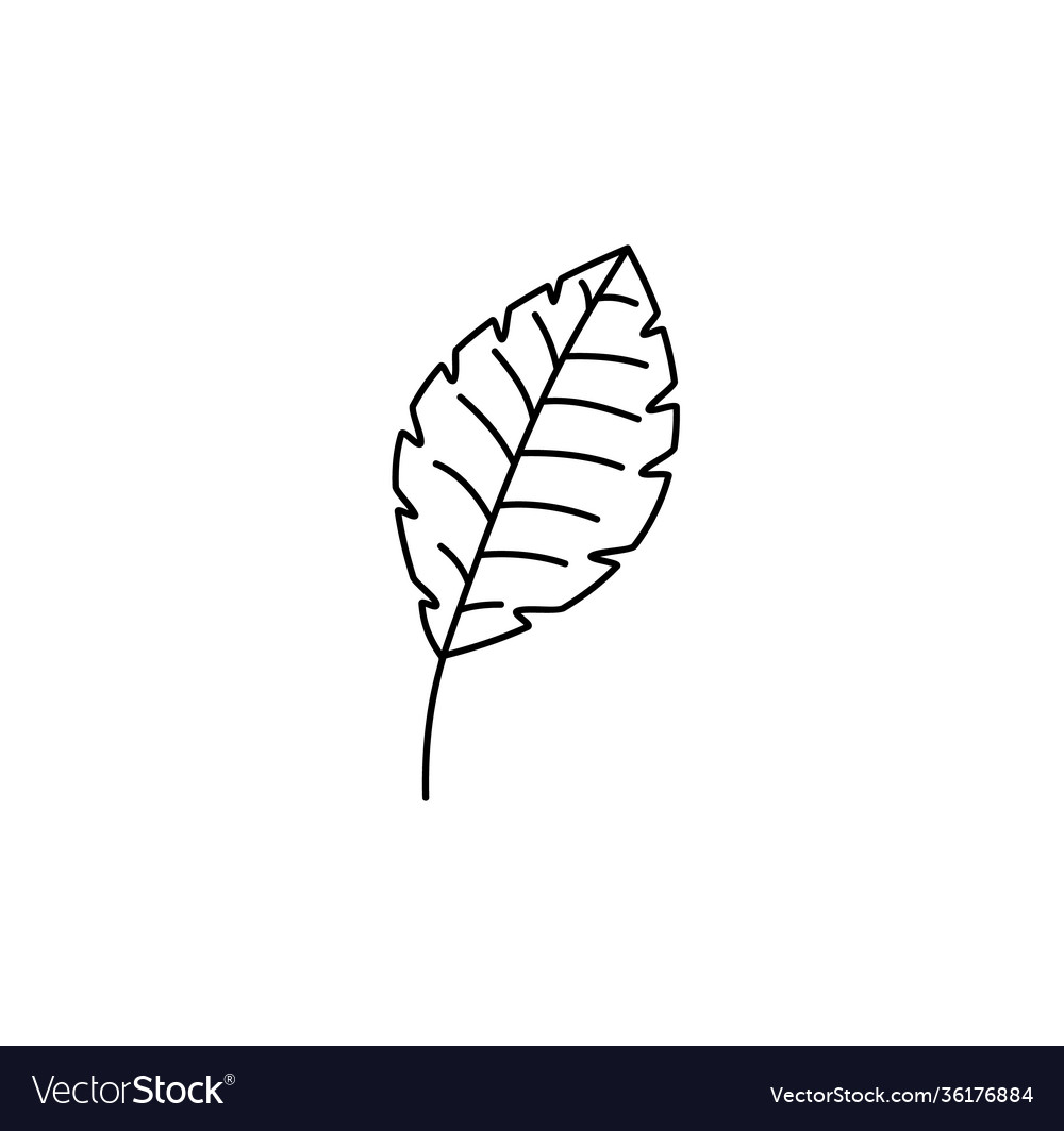 Spring leaf outline line icon doodle Royalty Free Vector