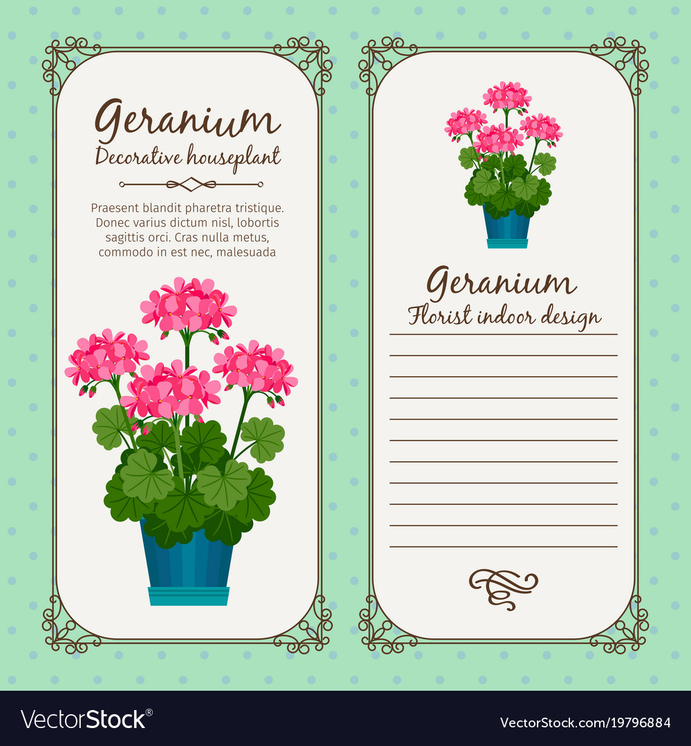 vintage label with geranium