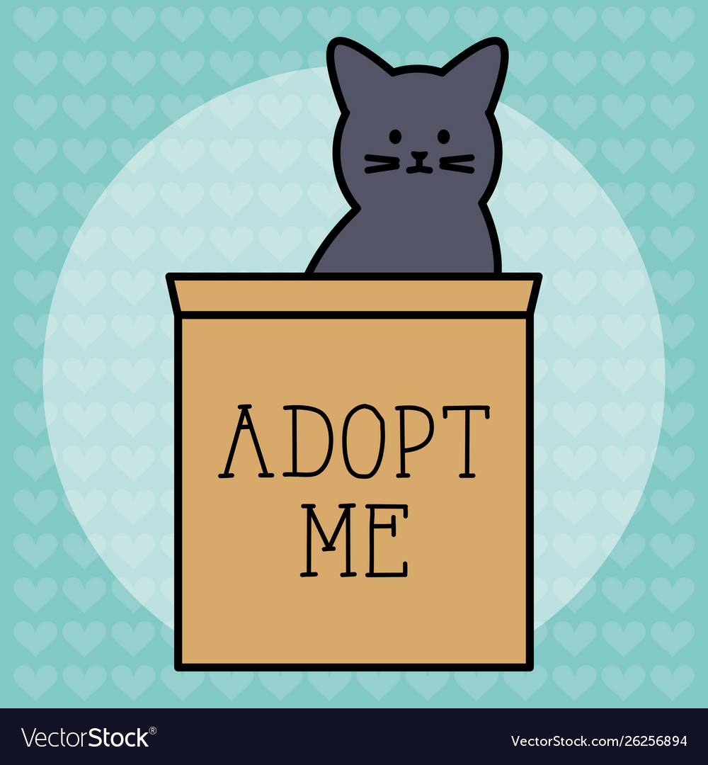 Cute cat mascot with carton box Royalty Free Vector Image