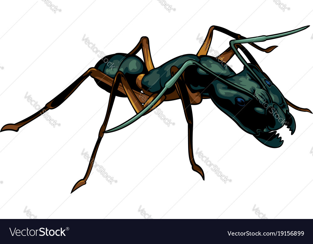 Cartoon ant warrior