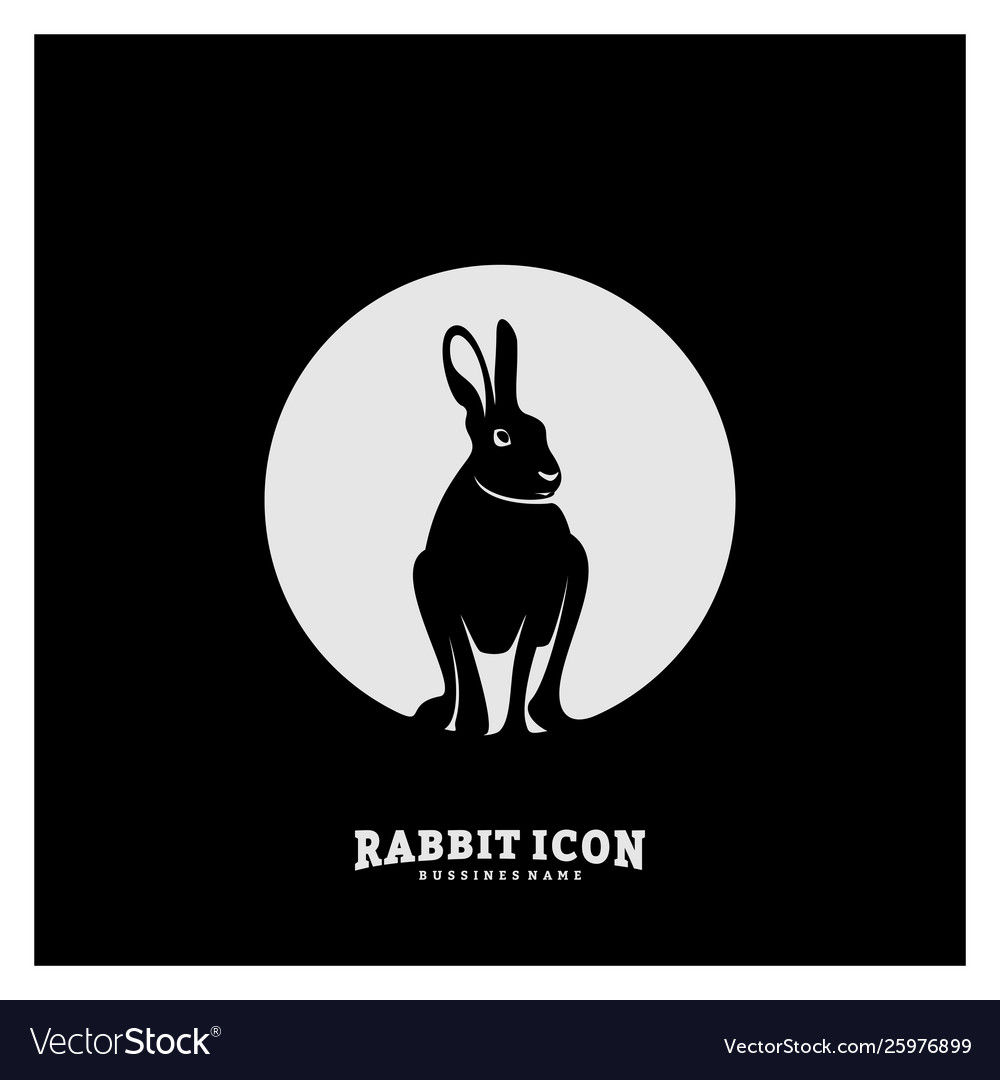 Rabbit logo design concepts