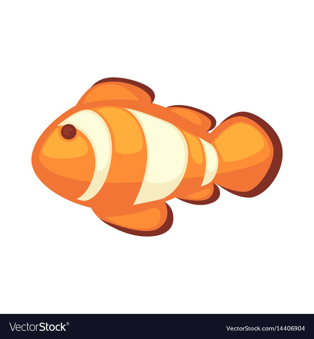 Clownfish or anemonefish Royalty Free Vector Image