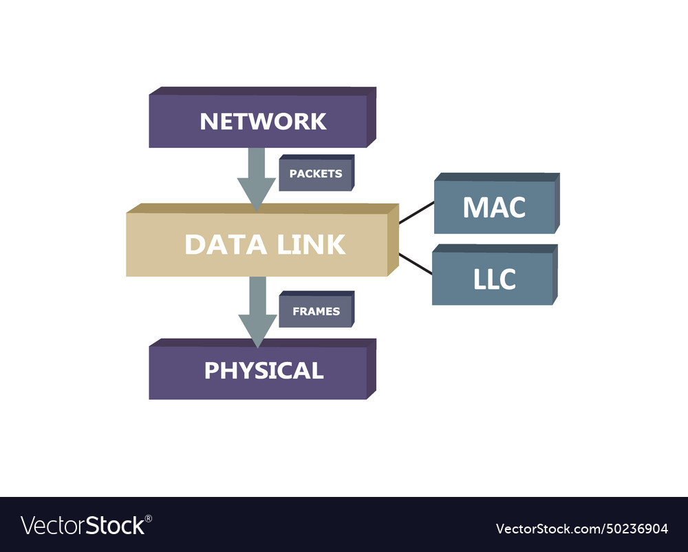 Data link sub layers osi model Royalty Free Vector Image