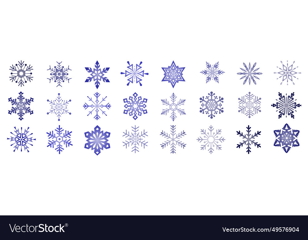 Set of organic and geometric snowflakes