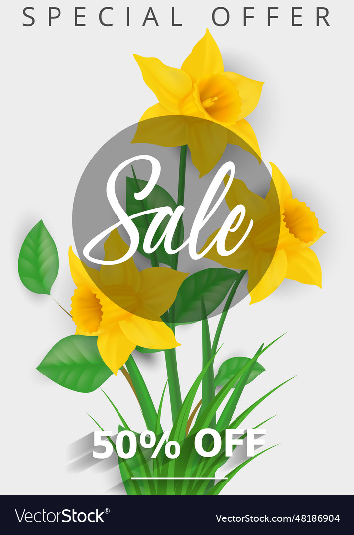 Special offer sale lettering and daffodils