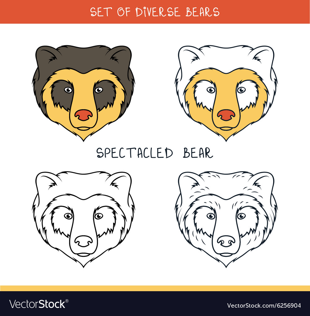 Spectacled bear set isolated face heads