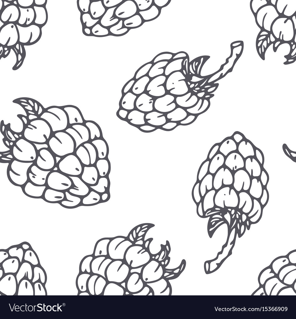 Hand drawn outline seamless pattern with raspberry