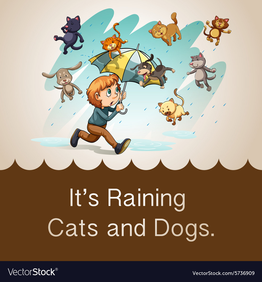 Raining Cats And Dogs