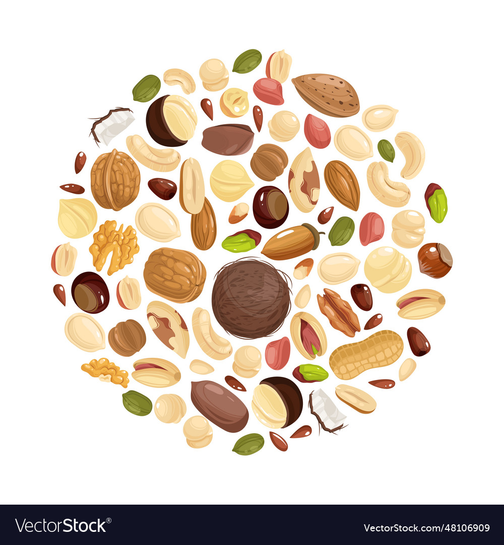 Nuts background various in circle form