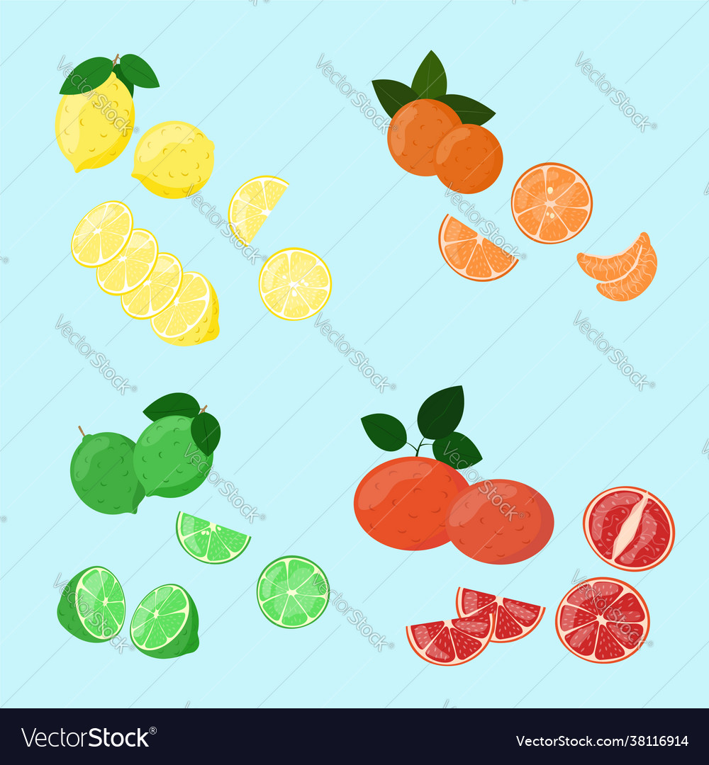 Citrus fruits in cut set slices isolated