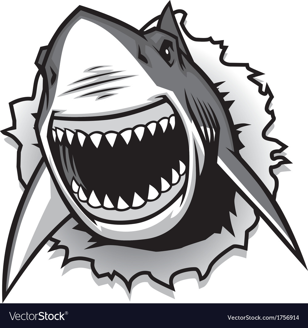 Great white shark ripping with opened mouth Vector Image