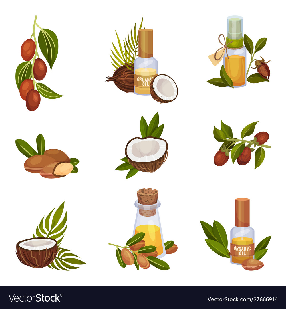 Jojoba and coconut organic oil production