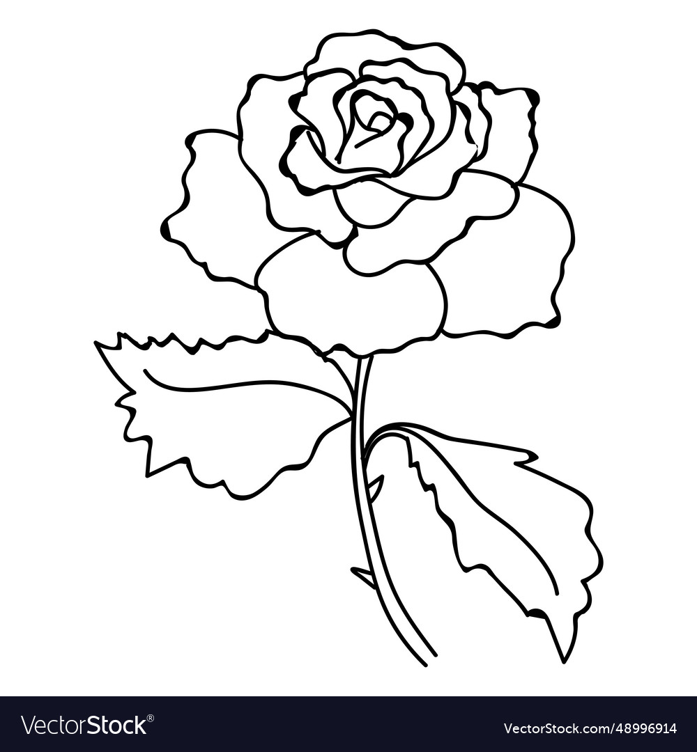 Rose flower stroke icon Royalty Free Vector Image