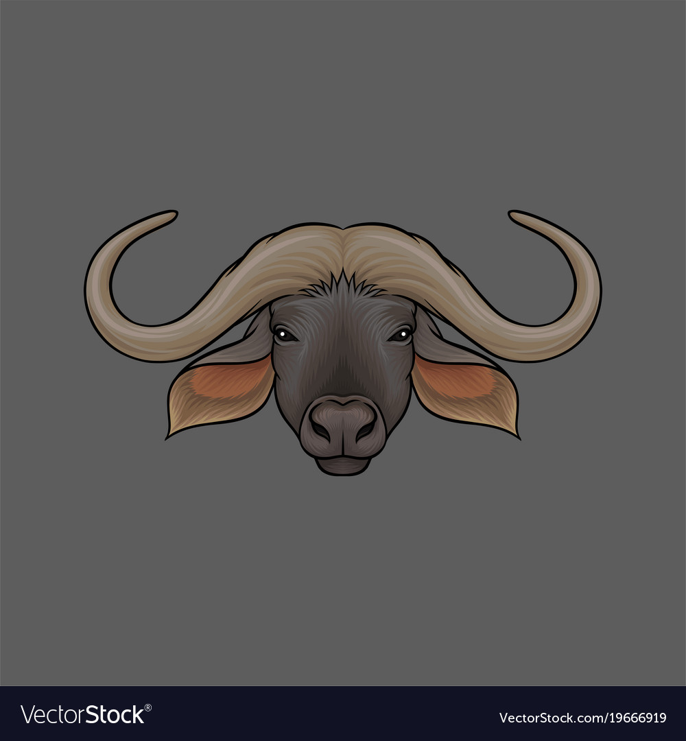 Head of muskox portrait of wild animal hand drawn Vector Image Head of muskox portrait of wild animal hand drawn Vector Image