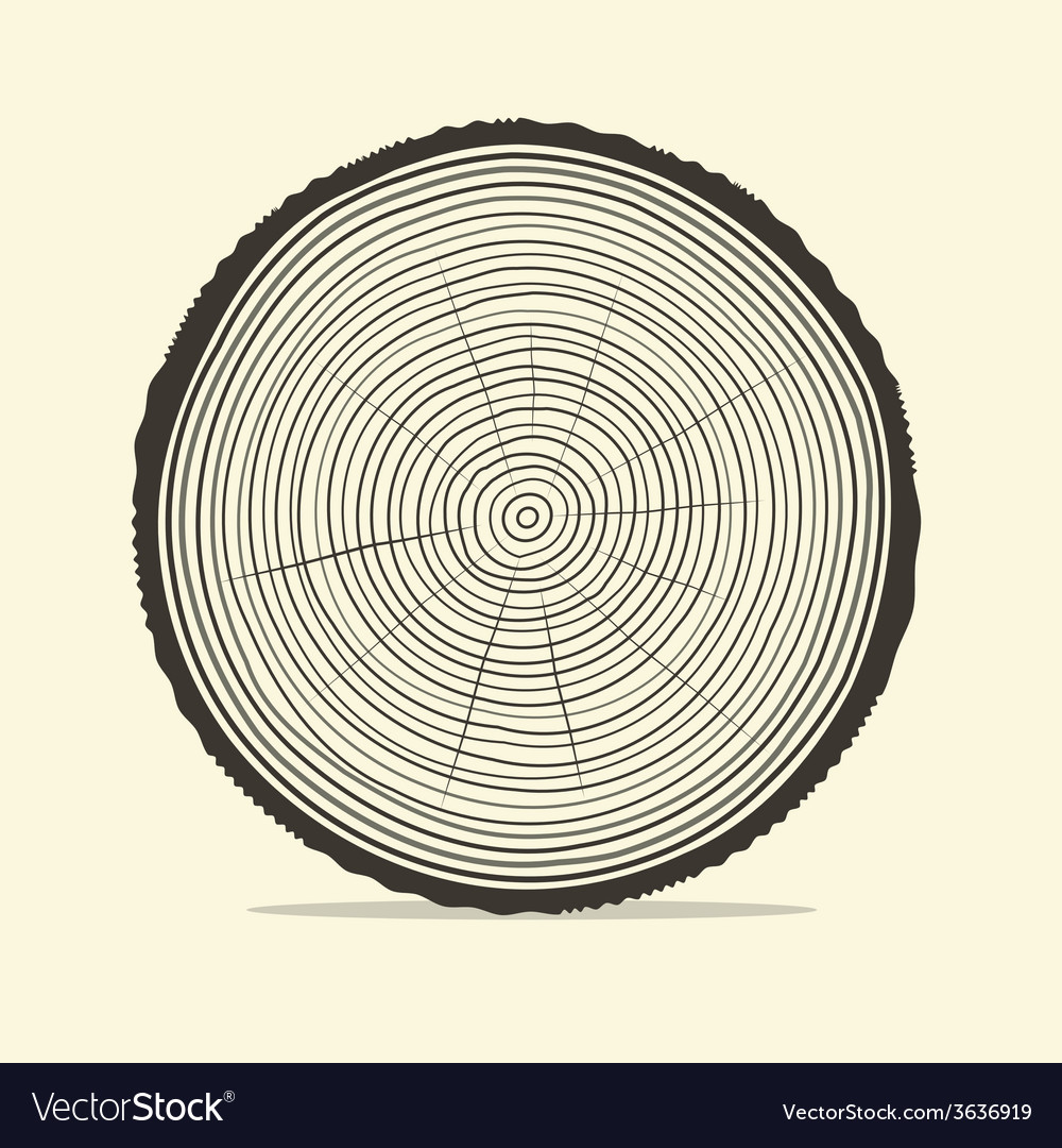 Tree Rings Pattern