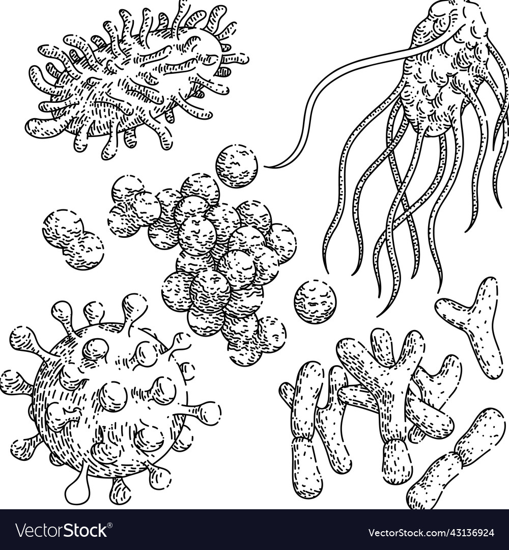 Bacteria virus set sketch hand drawn