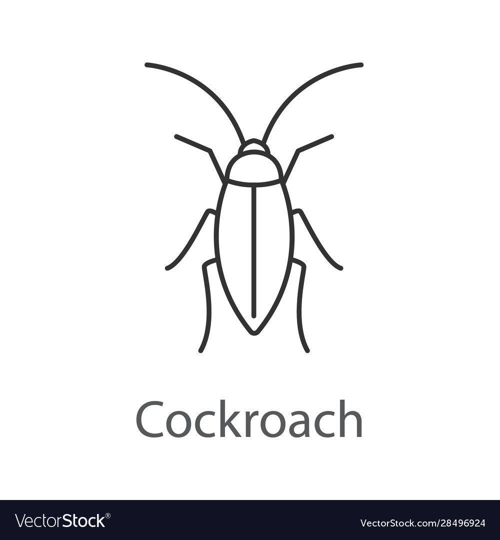 Cockroach linear icon