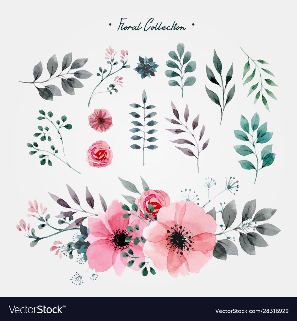 Flowers and nature artistic set vector image Flowers and nature artistic set