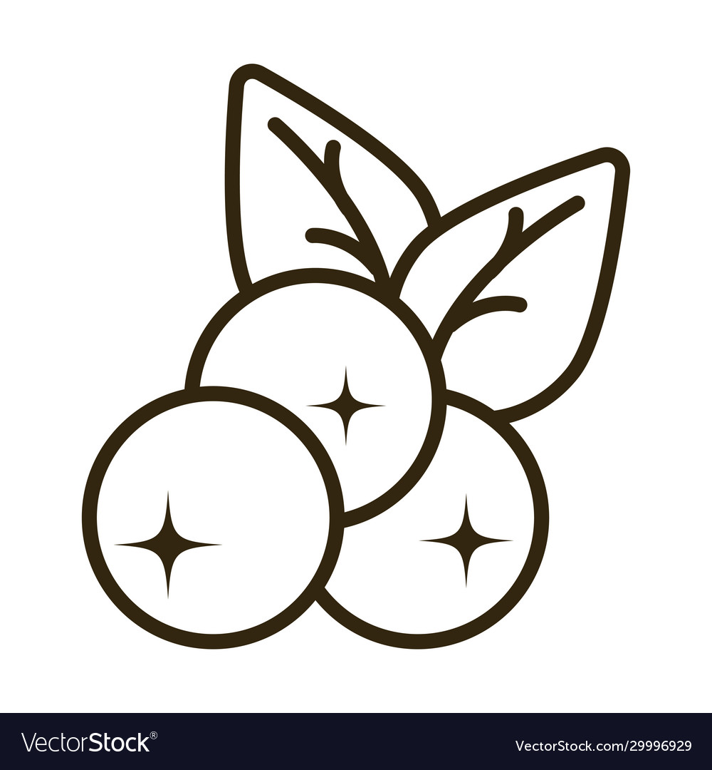 Grape on white background line style icon