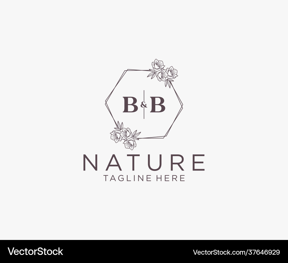 Prinitial bb letters floral frames botanical Vector Image