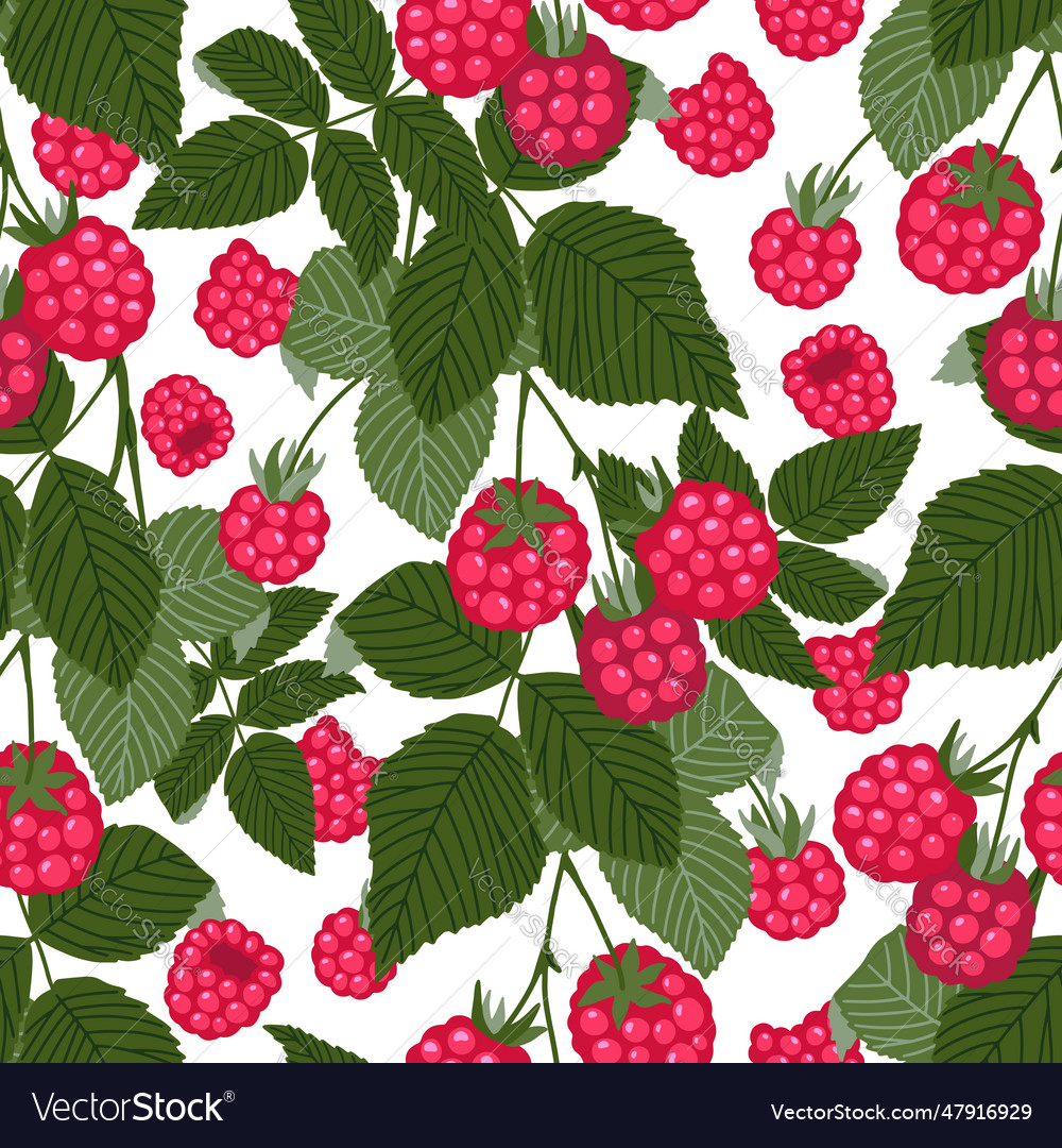 Raspberry seamless pattern sweet red vector image Raspberry seamless pattern sweet red