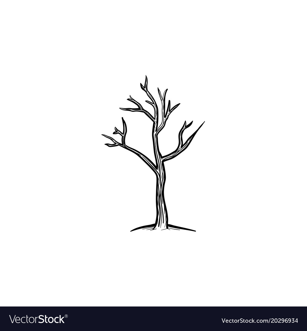 Dry tree hand drawn sketch icon Royalty Free Vector Image