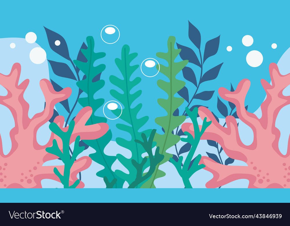 Algaes and green seaweed Royalty Free Vector Image