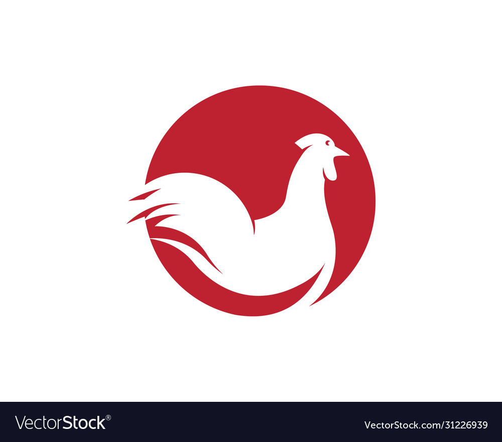 Chicken icon design vector image Chicken icon design