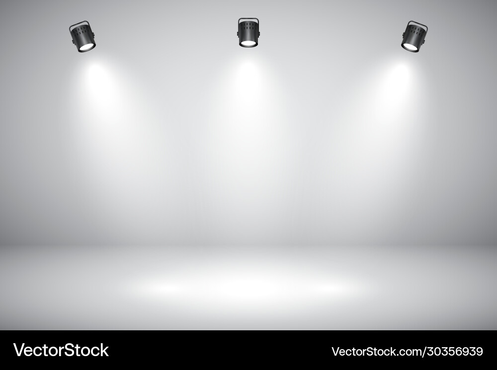 Empty gray studio abstract background with Vector Image