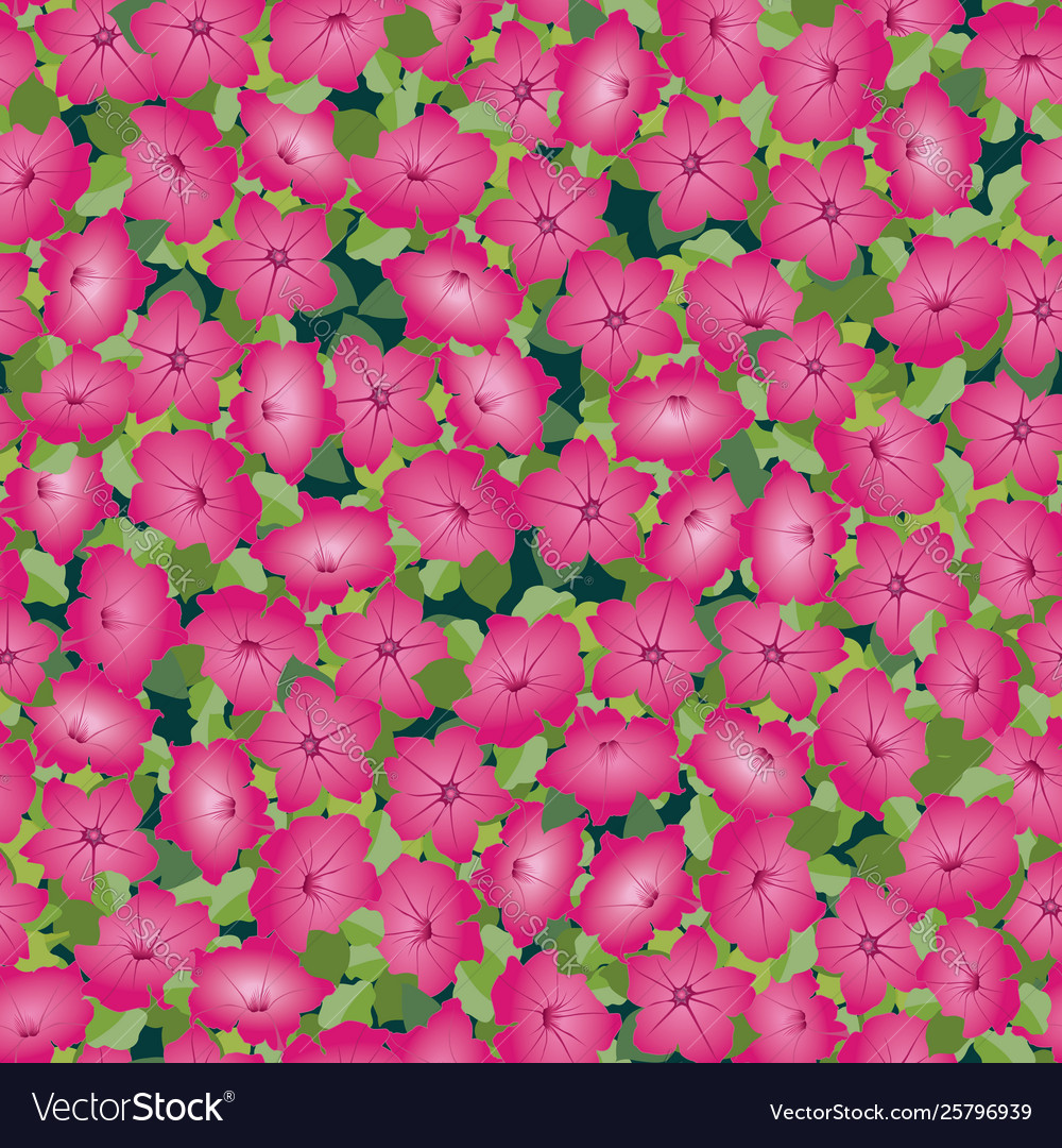 Floral seamless pattern decorative flower vector image Floral seamless pattern decorative flower