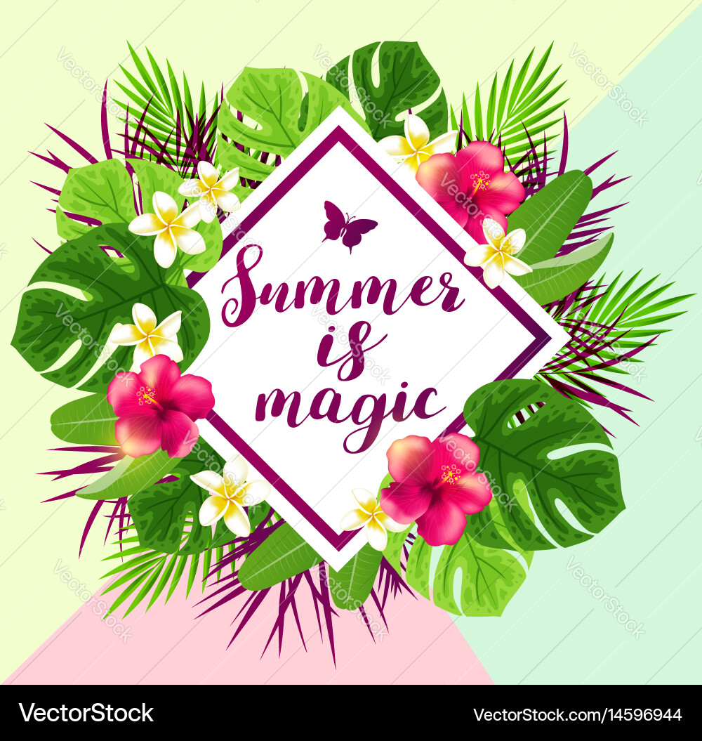 Summer abstract background Royalty Free Vector Image