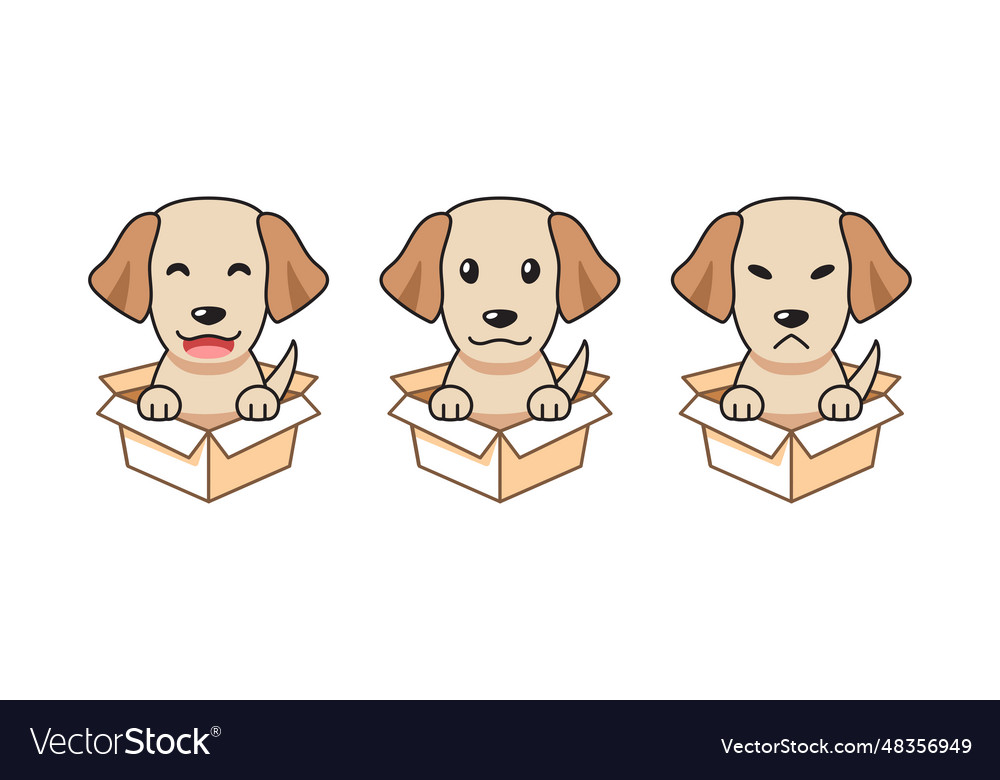 Cartoon set of labrador retriever