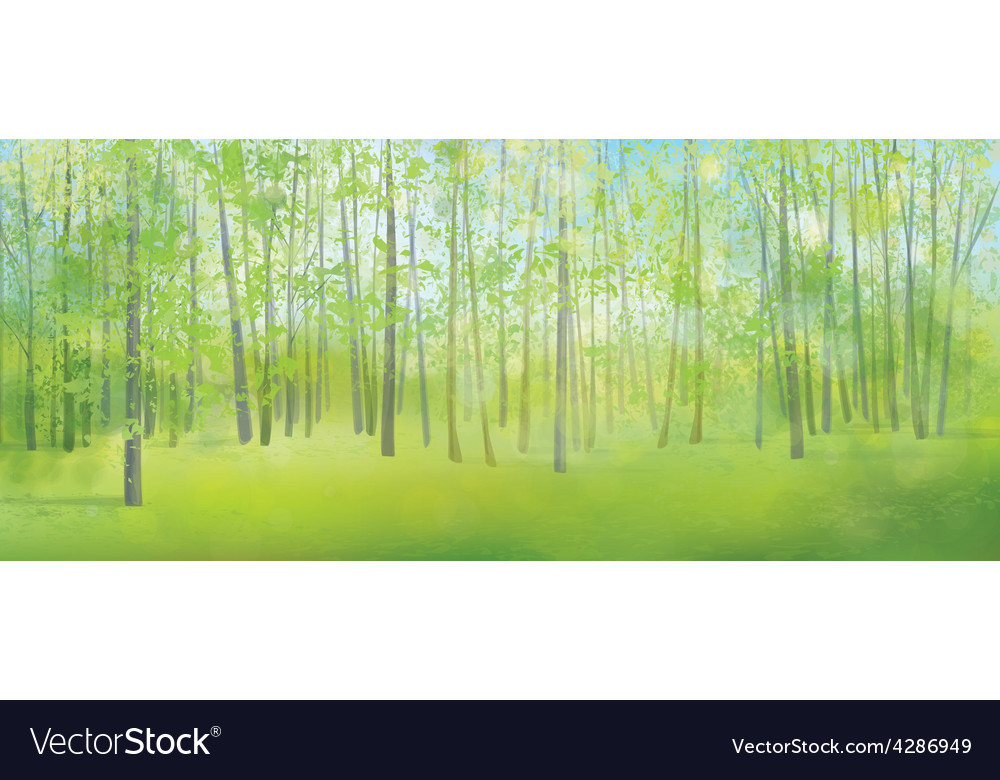 Forest background Royalty Free Vector Image - VectorStock