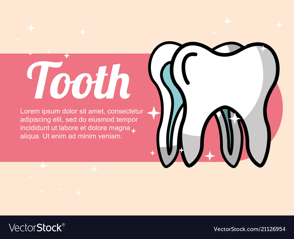 Dental Care Tooth Banner Royalty Free Vector Image