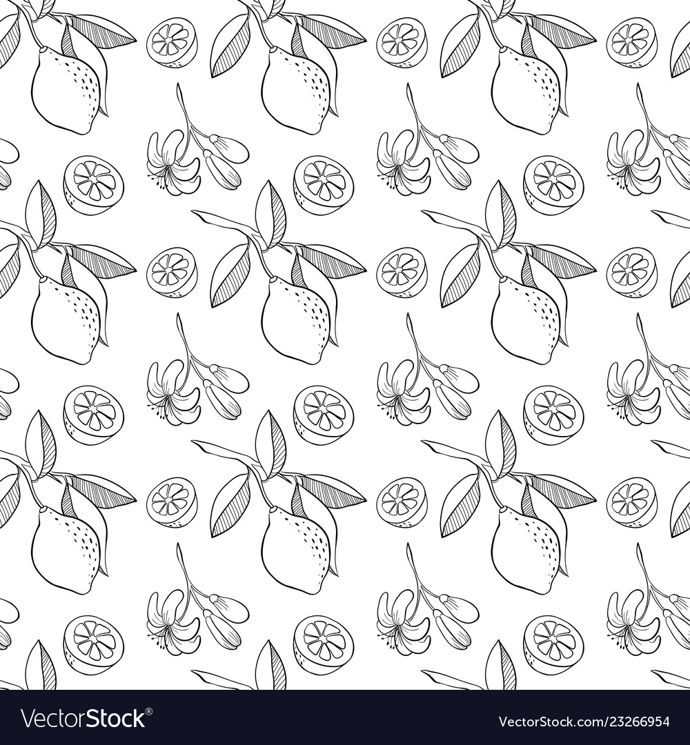 Sketched lemon seamless pattern vector image Sketched lemon seamless pattern