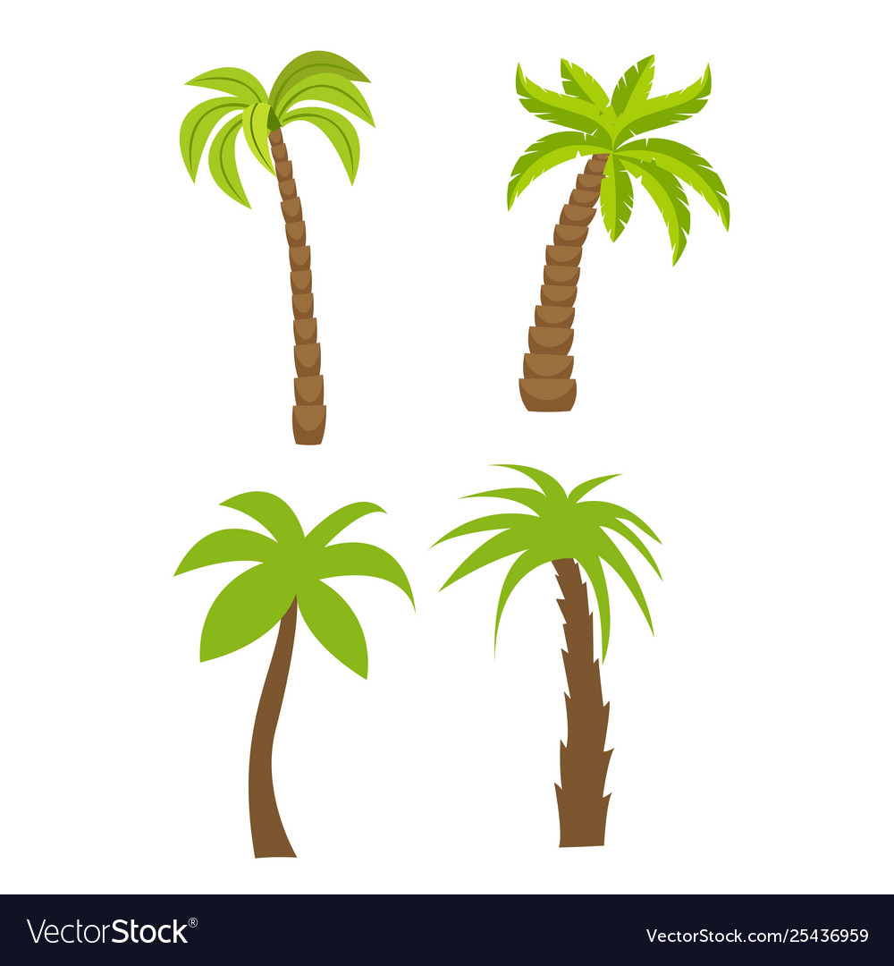 Flat set palm trees vector image Flat set palm trees