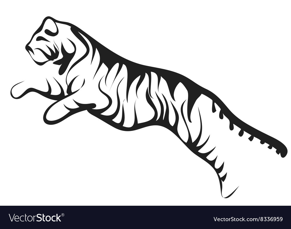 Featured image of post Running Tiger Vector / Wildlife and predators vector footage of a running tiger.