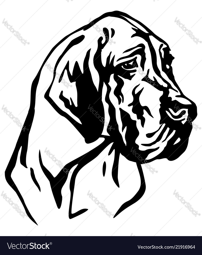 Decorative portrait of dog great dane Royalty Free Vector