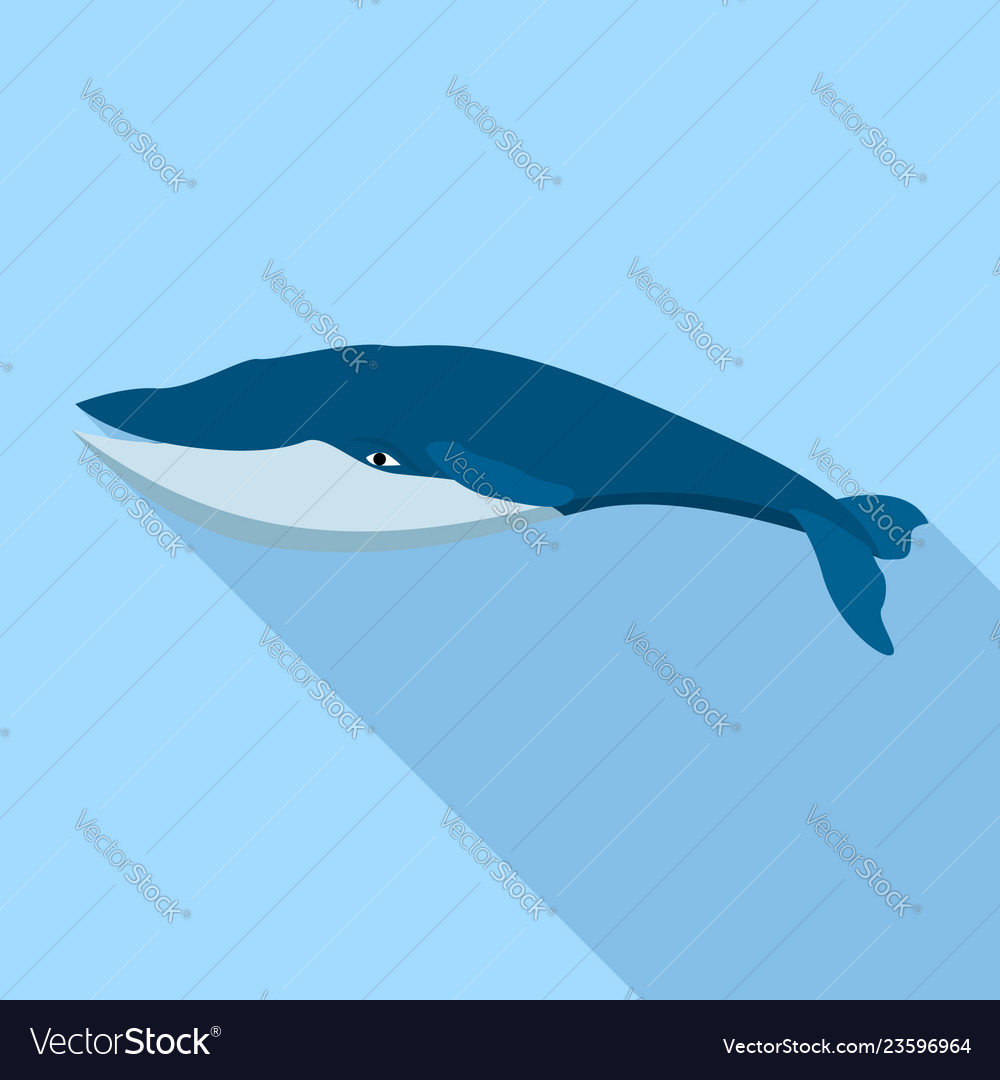 Fin whale icon flat style Royalty Free Vector Image